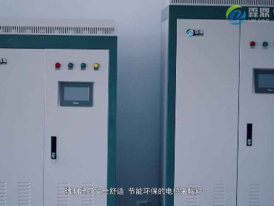 電鍋爐取暖安全環(huán)保熱效率高